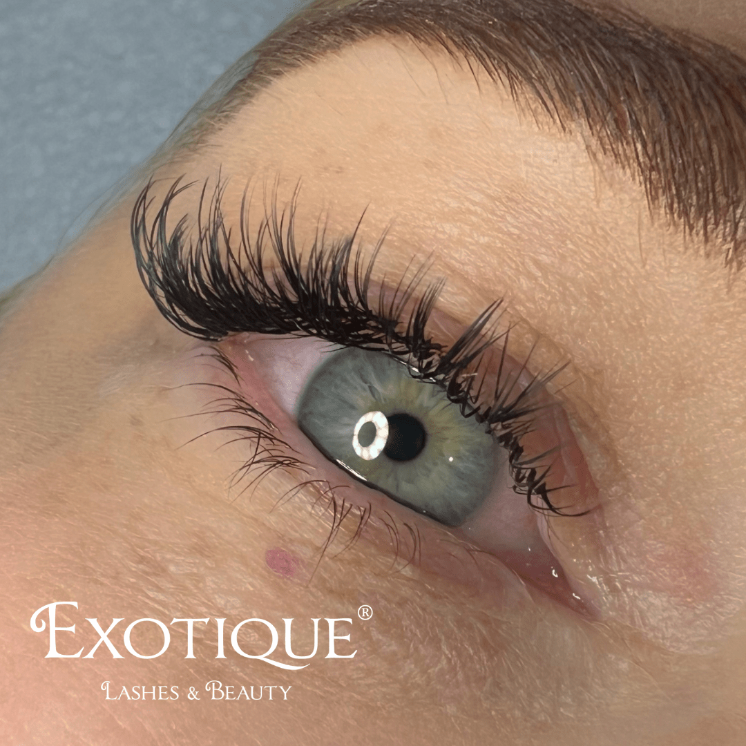 The Wet Look Lash Set- What is it? - Exotique  Lashes