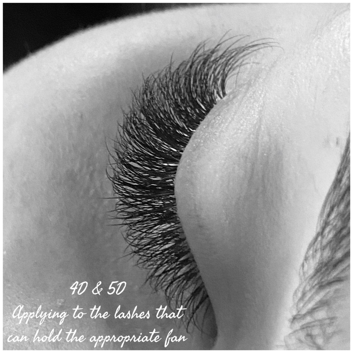 Premade and Promade Volume Fans - Exotique Lashes