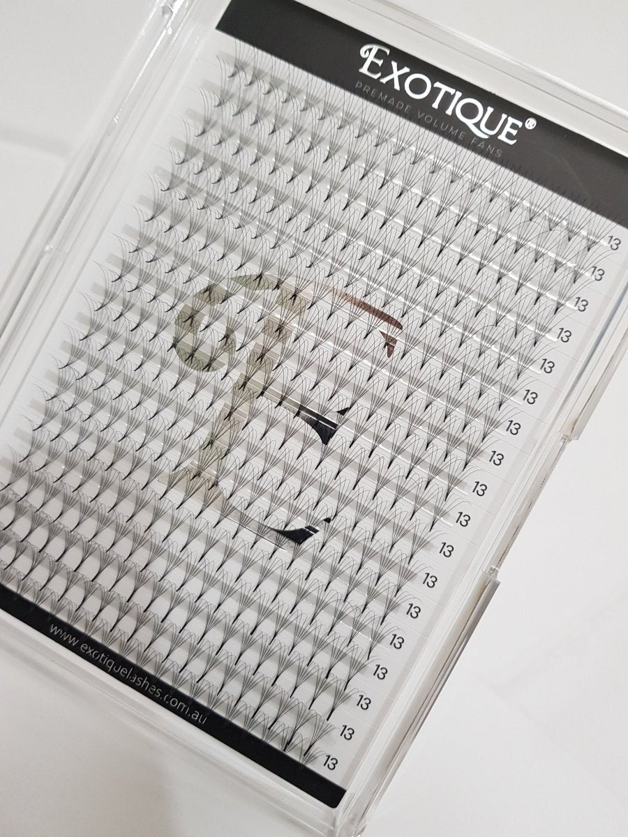 6D Pro Made Fans Extra Large Tray 0.05 C or D Curls - Exotique Lashes