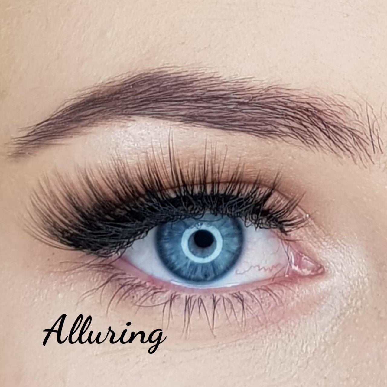 Strip Lashes By Exotique "Alluring" - Exotique Lashes