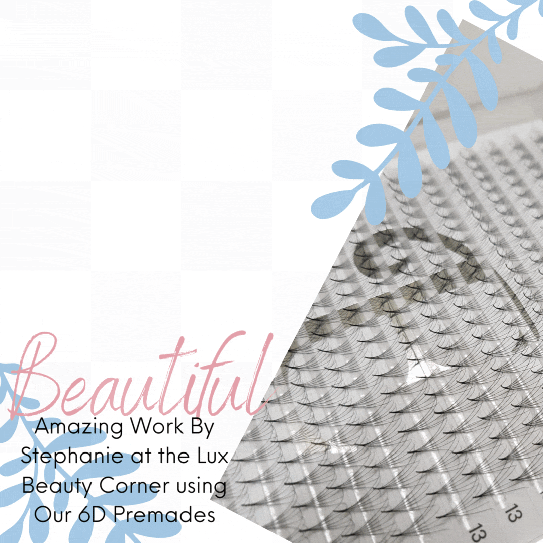 6D Pro Made Fans Extra Large Tray 0.05 C or D Curls