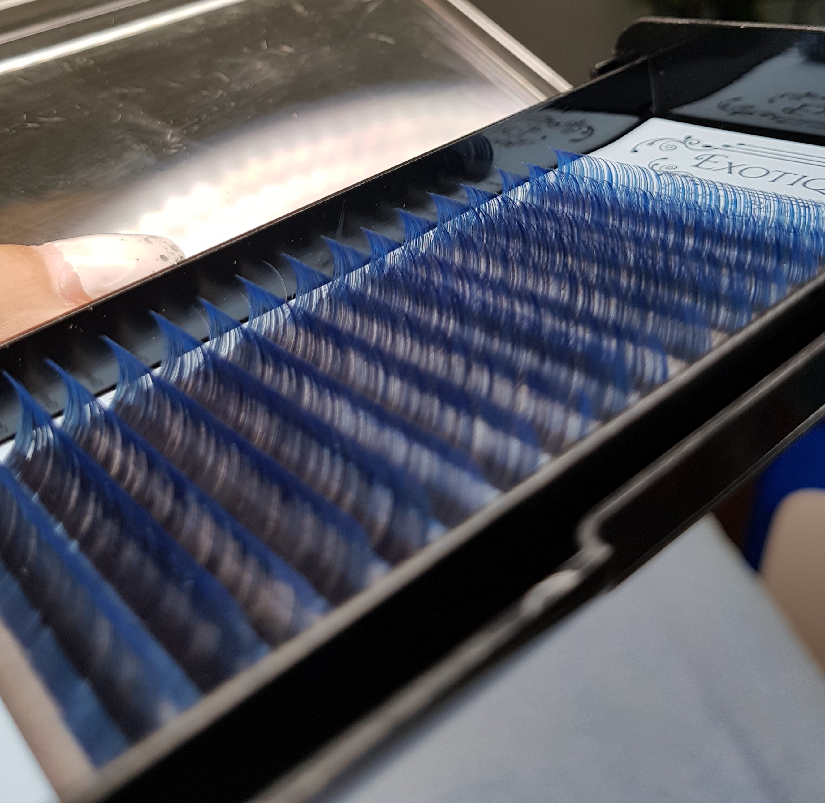 Ombre C or D Curl 0.07 Blue or Purple Mixed Tray 9mm -14mm - Exotique  Lashes