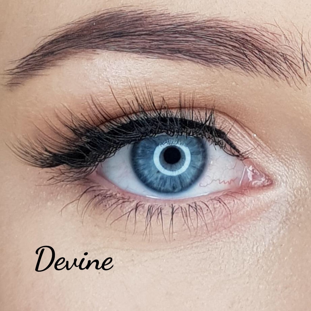 Strip Lashes By Exotique "Devine" - Exotique Lashes