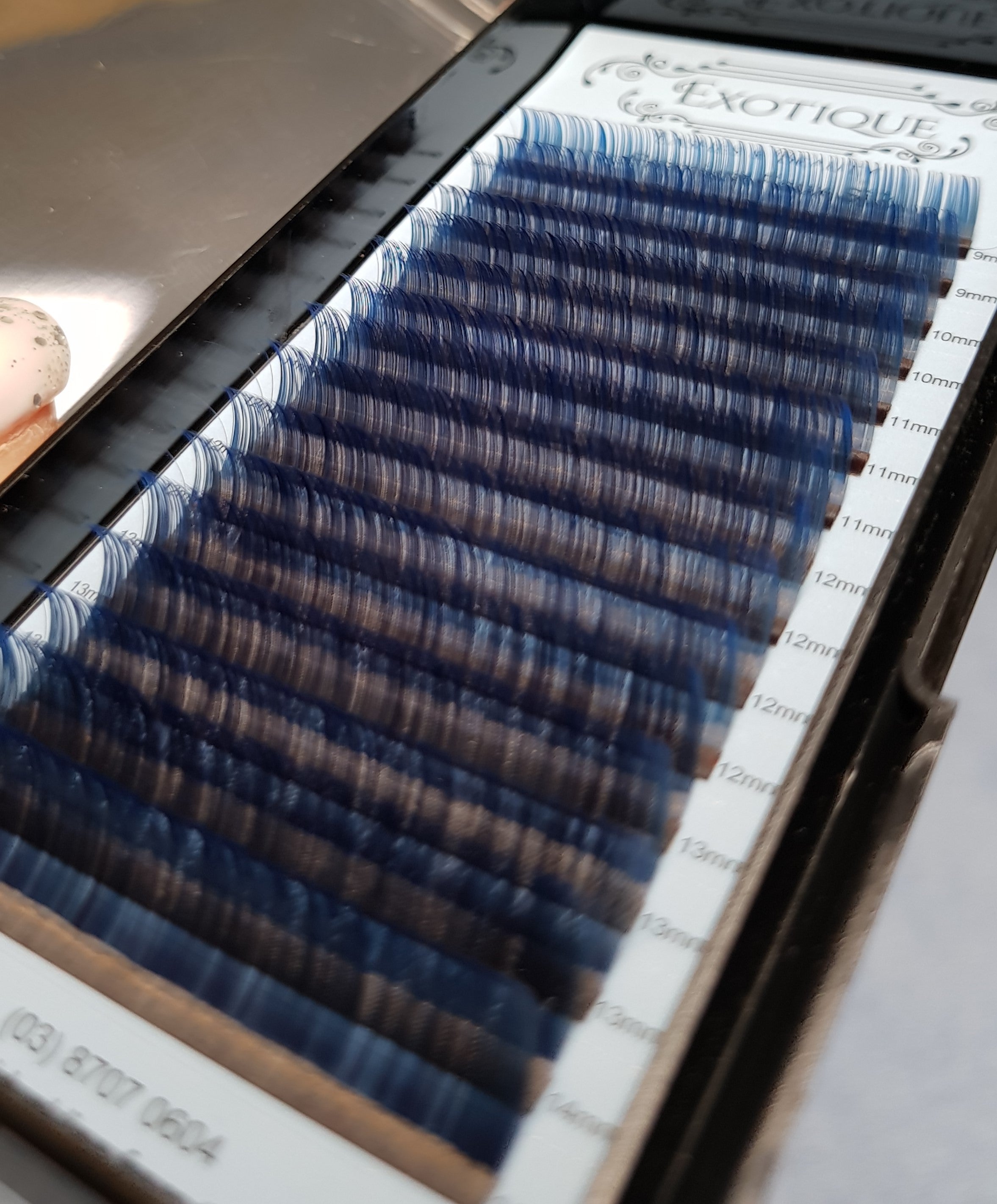 Ombre C or D Curl 0.07 Blue or Purple Mixed Tray 9mm -14mm - Exotique  Lashes