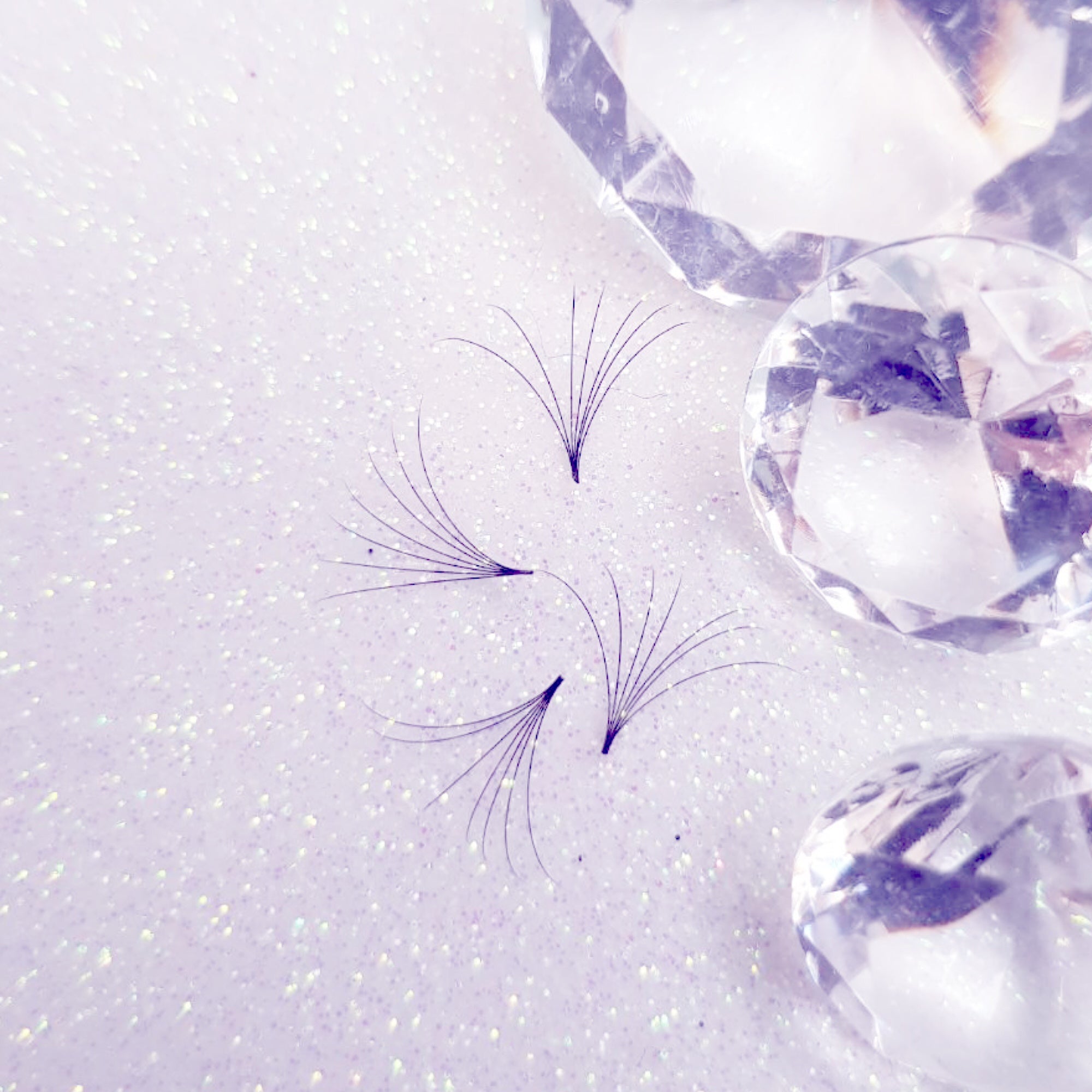 Promades 7D 0.05 C or D Curls (Loose Approx 500) by Exotique