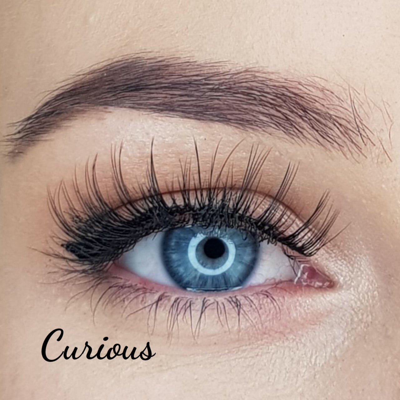 Strip lashes by Exotique "Curious" - Exotique  Lashes