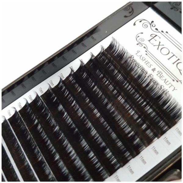 0.05s D Curls Lash Trays ON SALE - Limited sizes