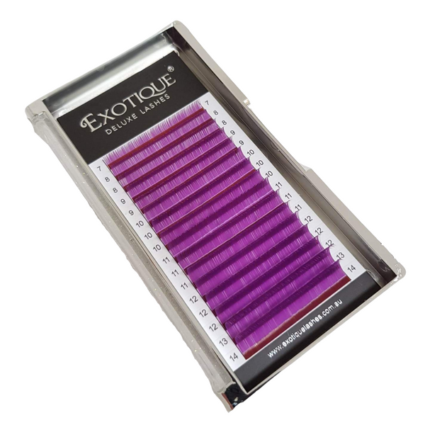 Purple 0.07 Lash Trays Mixed Lengths CC Curl